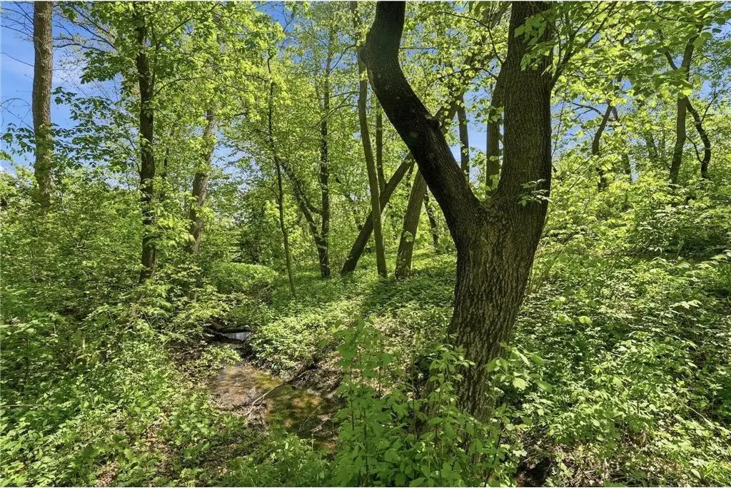 Picture 23