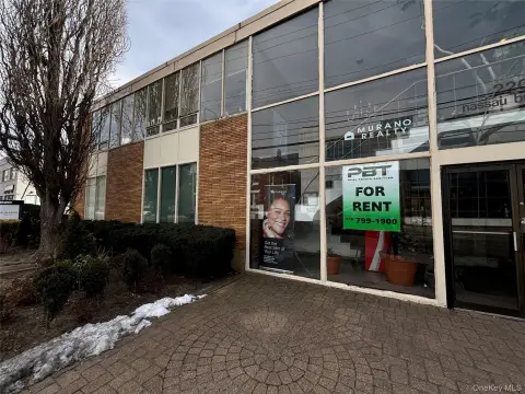 Mineola Office Space For Rent