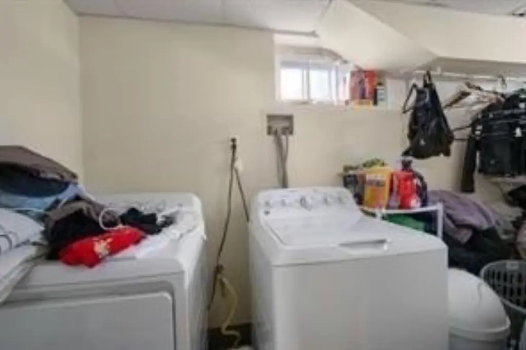 Picture 23