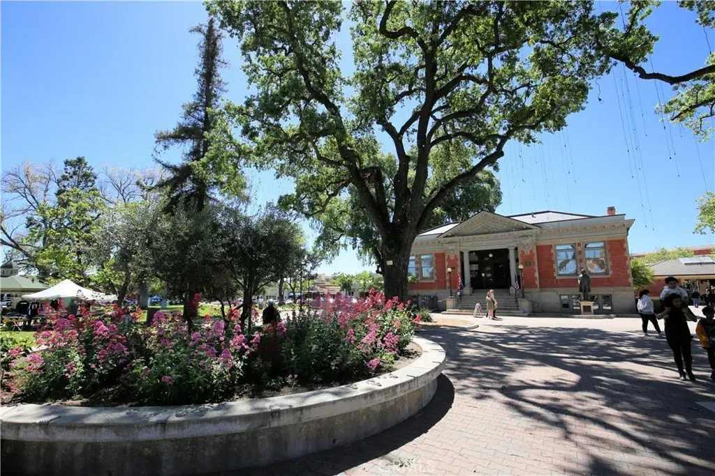 Picture 31