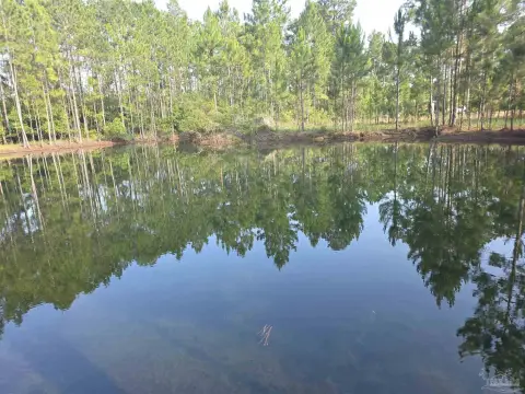 Pensacola Land with Pond