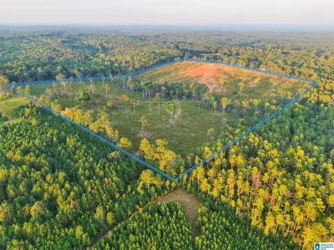 Agricultural Land with Creek