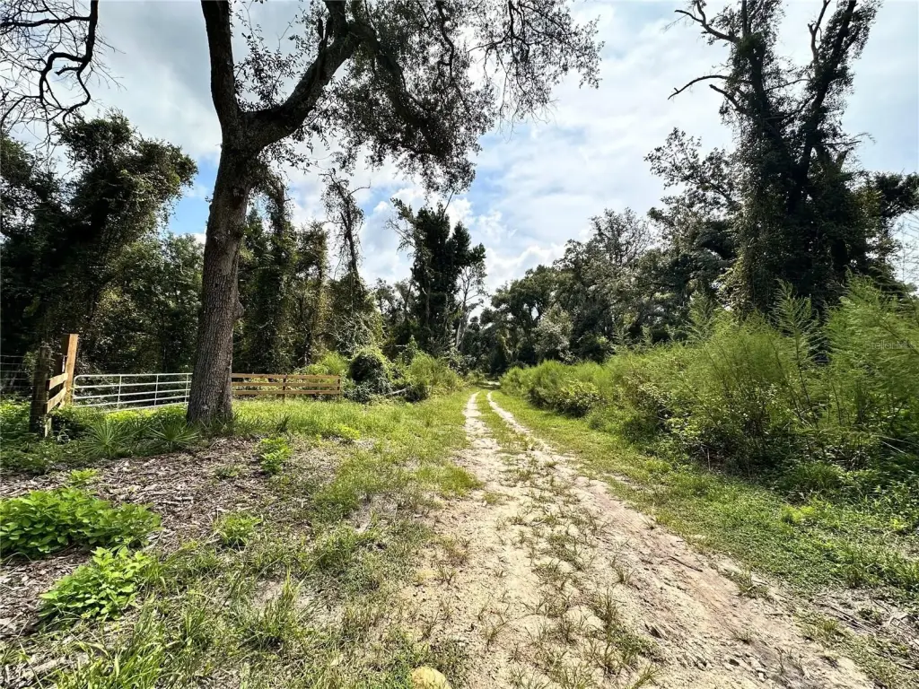Picture 20