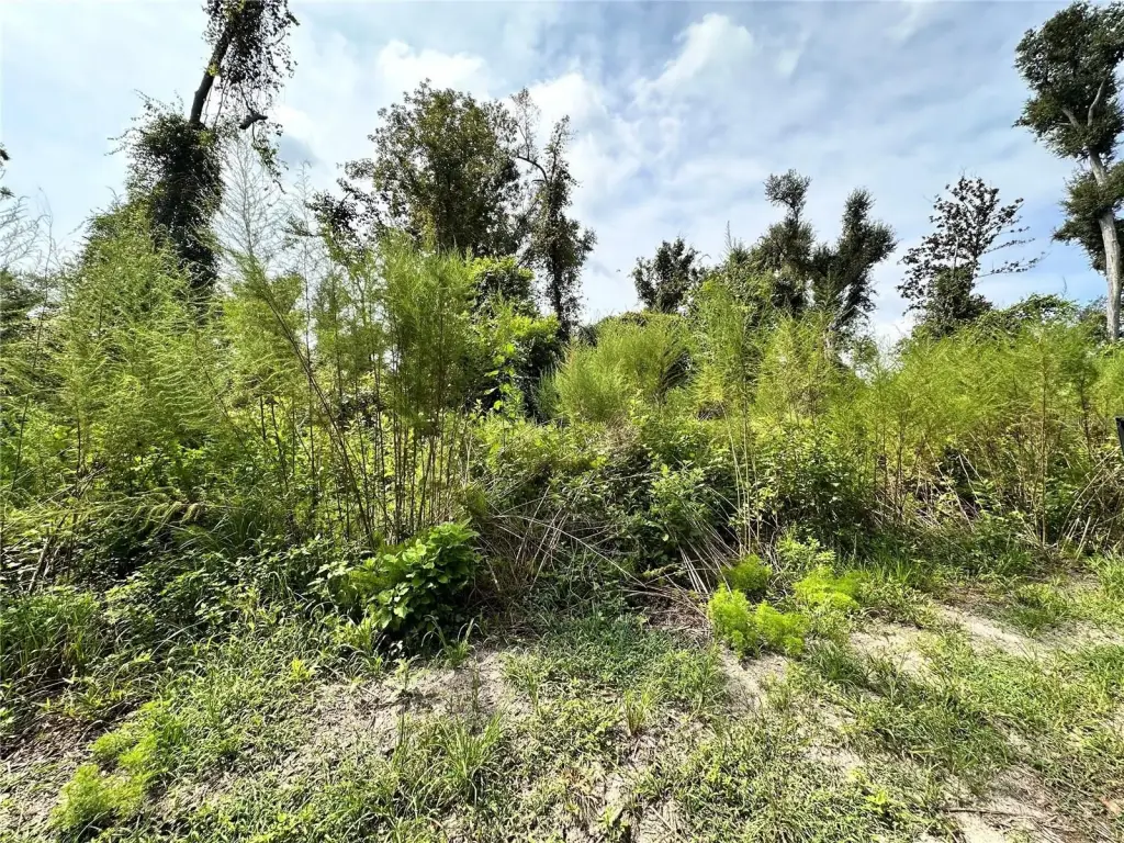 Picture 25