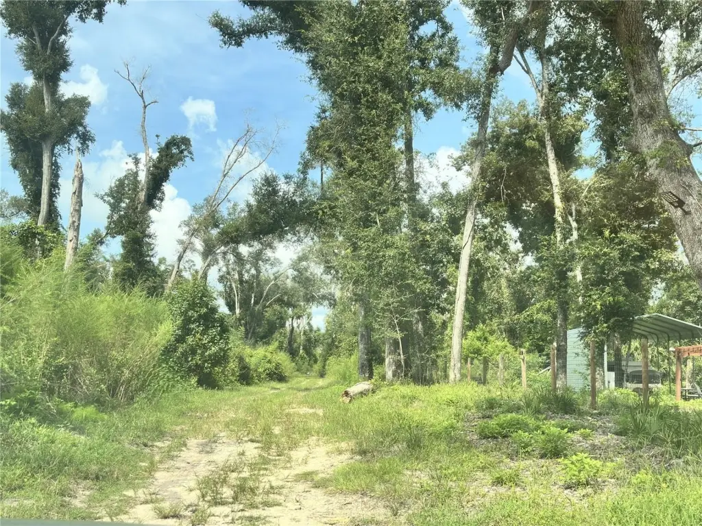 Picture 19