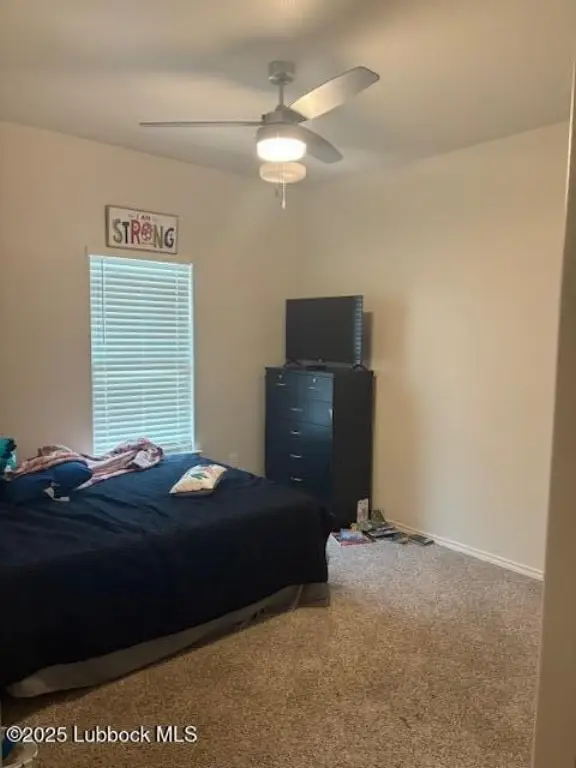Picture 41