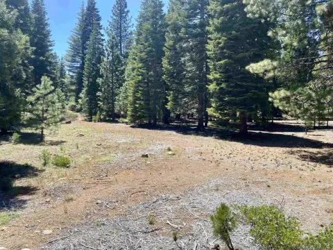 Lake Almanor Residential Lot