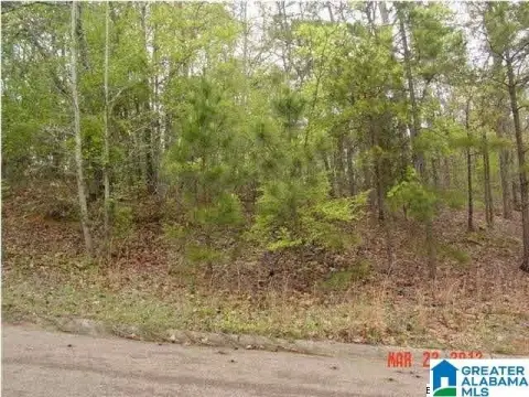 Residential Lots in Oxford, AL