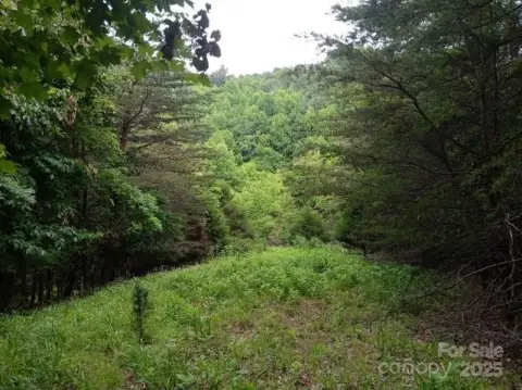 Unrestricted Land in Wilkesboro, NC