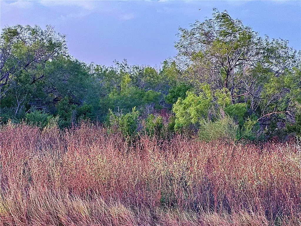 Picture 6