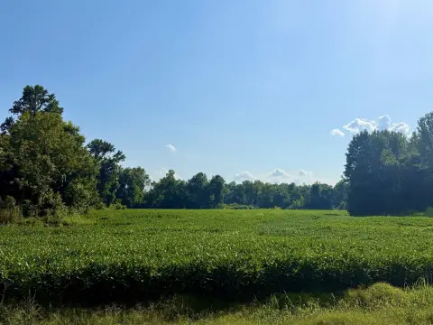 Agricultural Land with Farmed Acreage