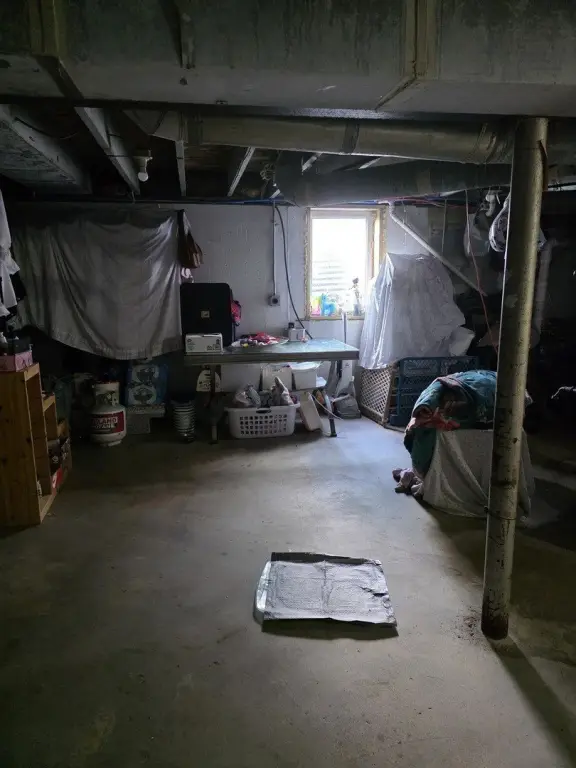 Picture 19