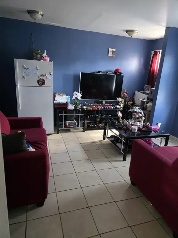 Picture 23