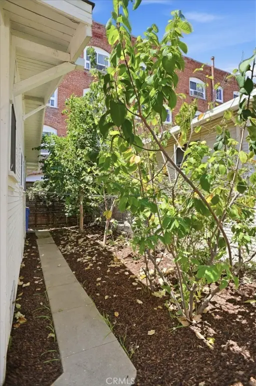 Picture 16