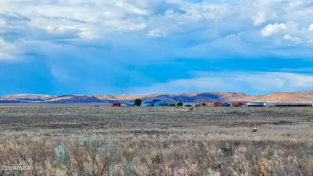 Picture 18