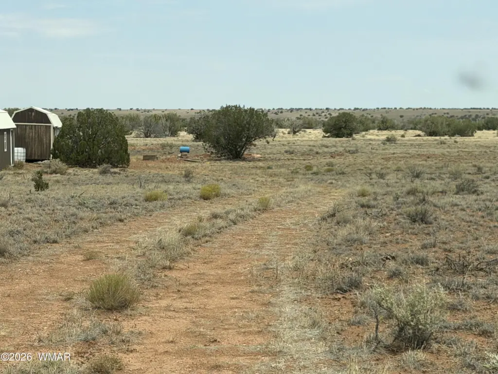Picture 29