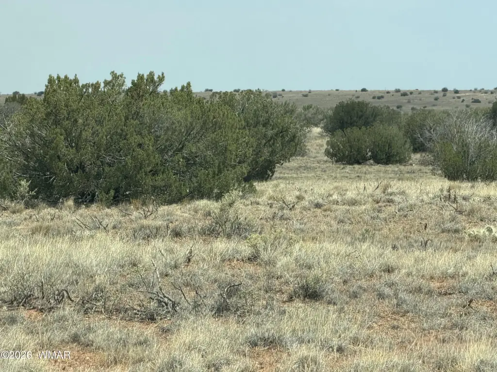 Picture 37