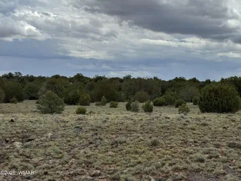 Level Recreation Land