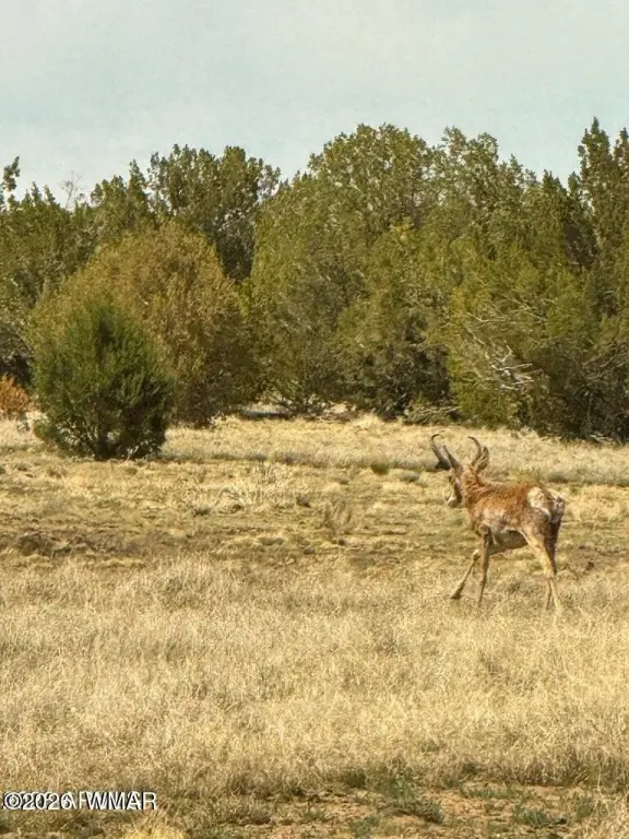 Picture 20