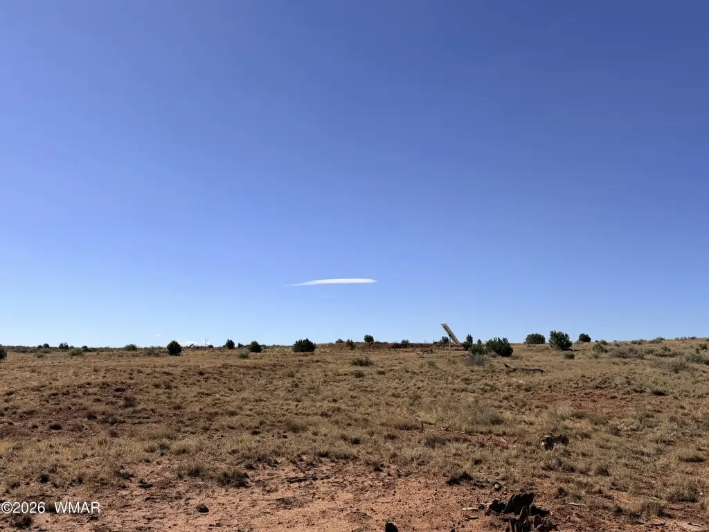 Picture 25