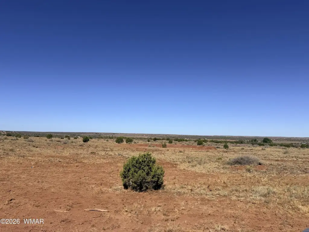 Picture 20
