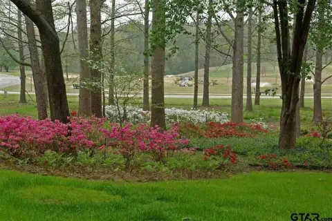 Land for Sale in Hideaway