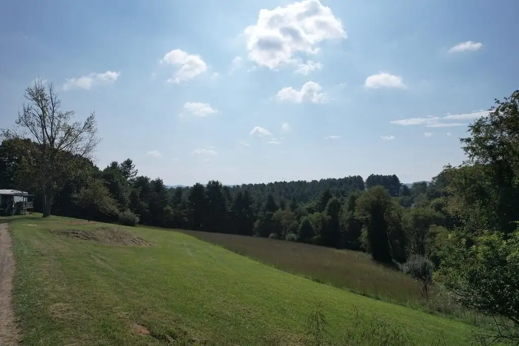 Picture 27