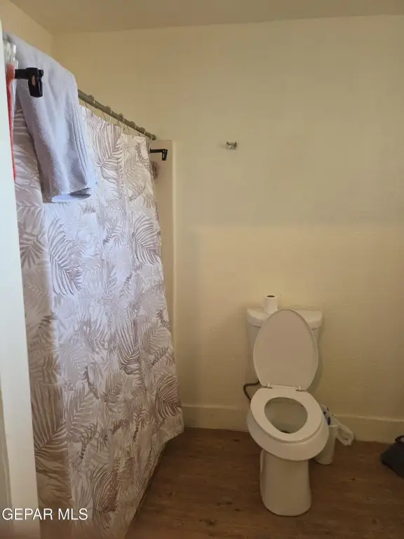 Picture 21