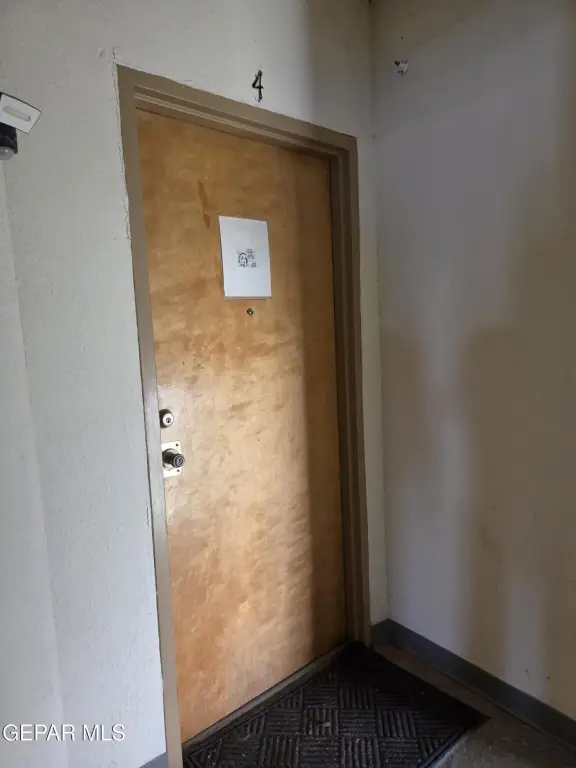 Picture 5