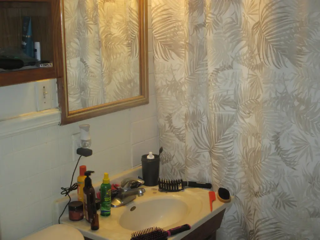 Picture 5