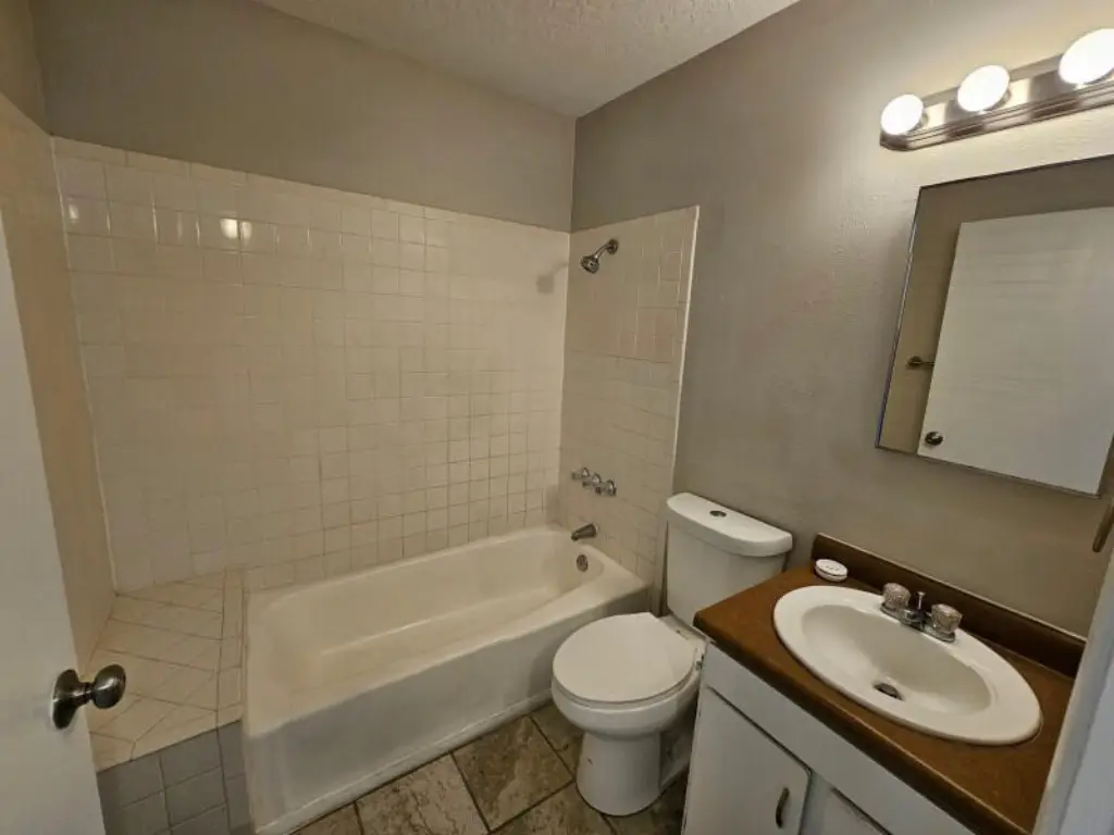 Picture 41