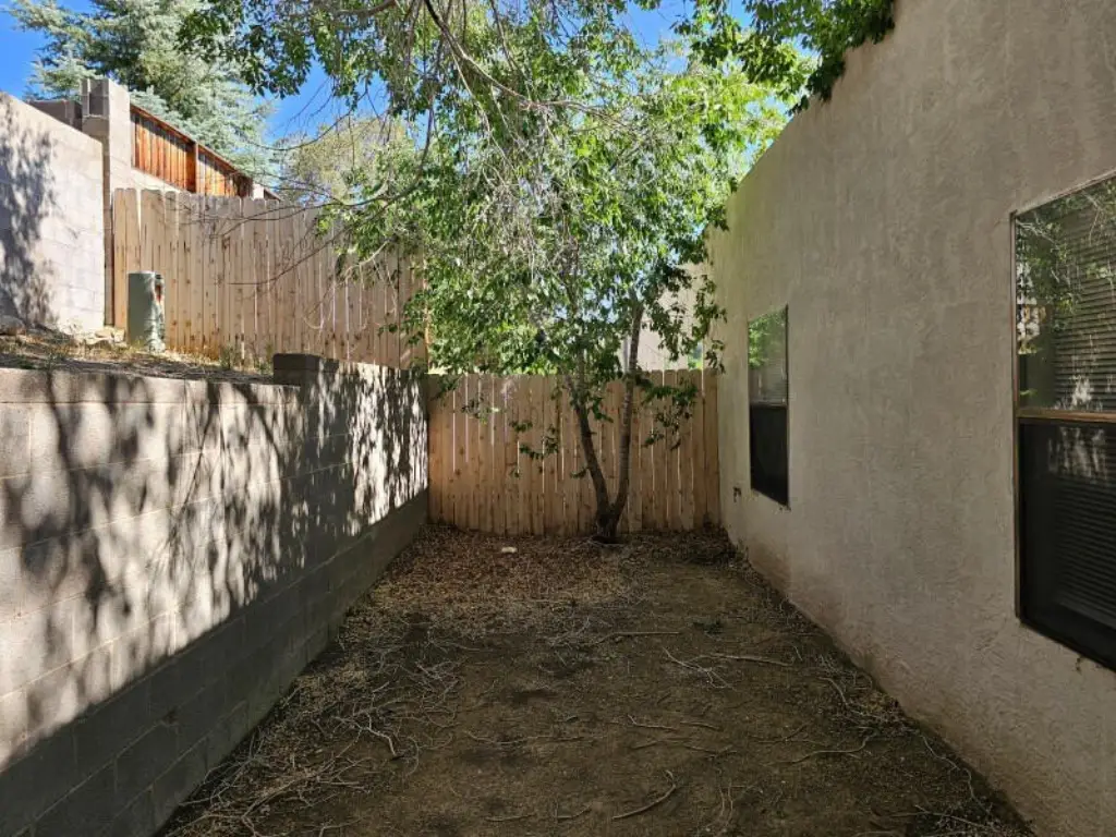 Picture 8
