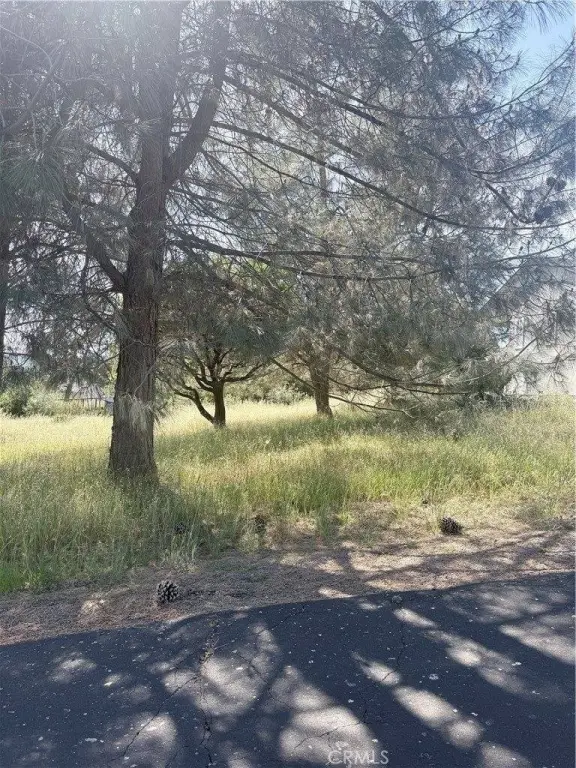 Picture 3