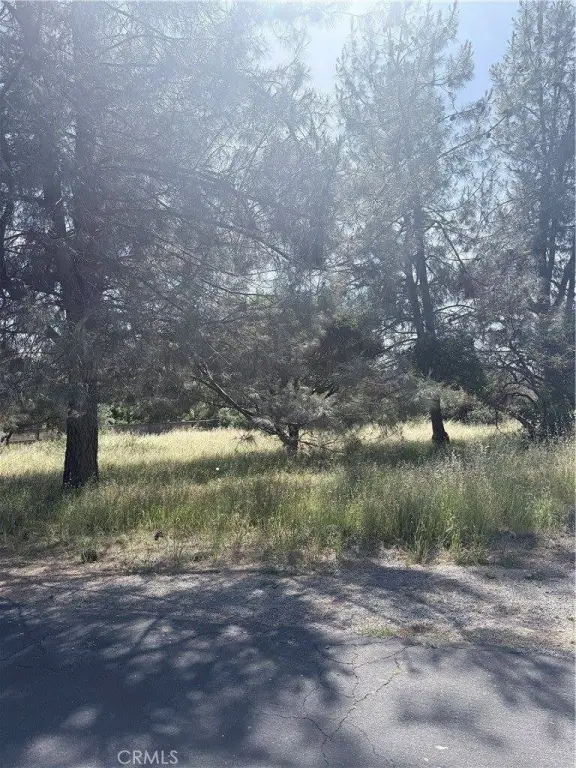 Picture 2