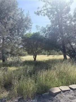 Hidden Valley Lake Lot