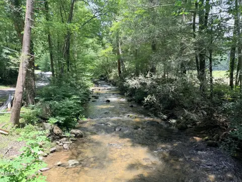 Unrestricted Land Tract With Creek Access