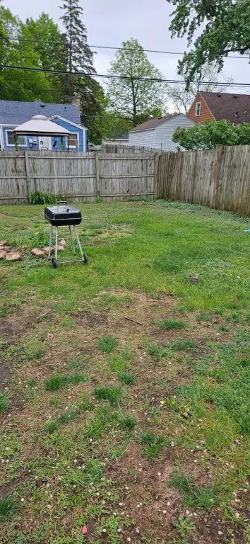 Picture 4