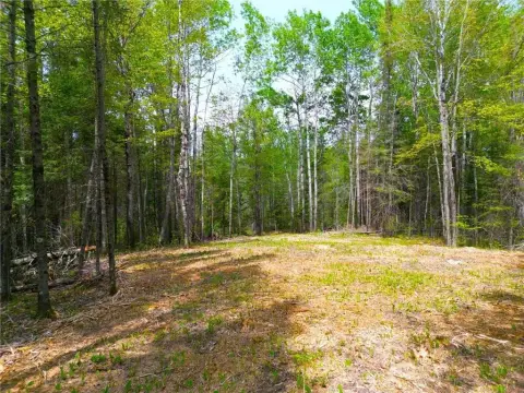 19.9 Acres Getaway Land, Eveleth