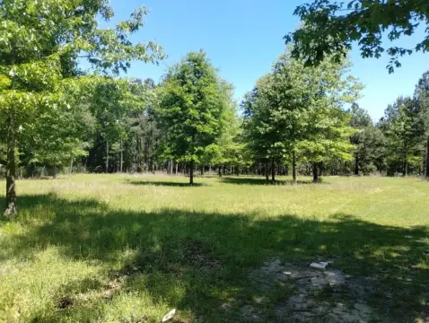 9.11 Acres Land in Lufkin