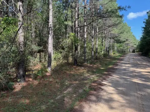 Heavily Wooded Acreage Bordering Forest