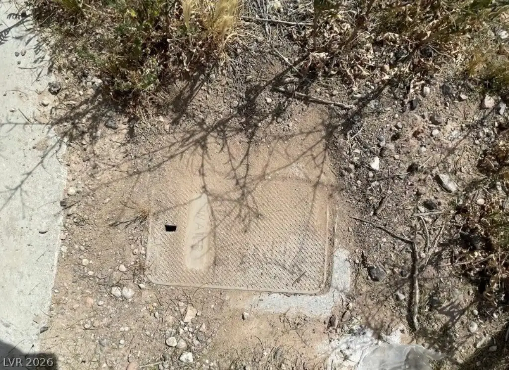 Picture 9