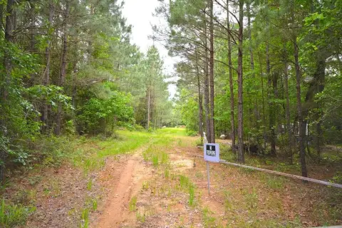 Recreational and Hunting Land in Etoile