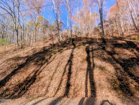 Sevierville, TN Land Parcel