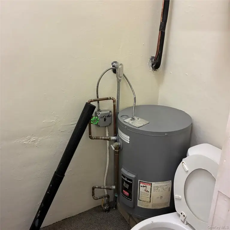 Picture 6