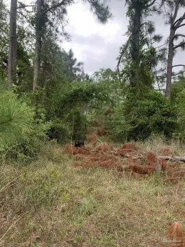 Holt, FL Land Parcel