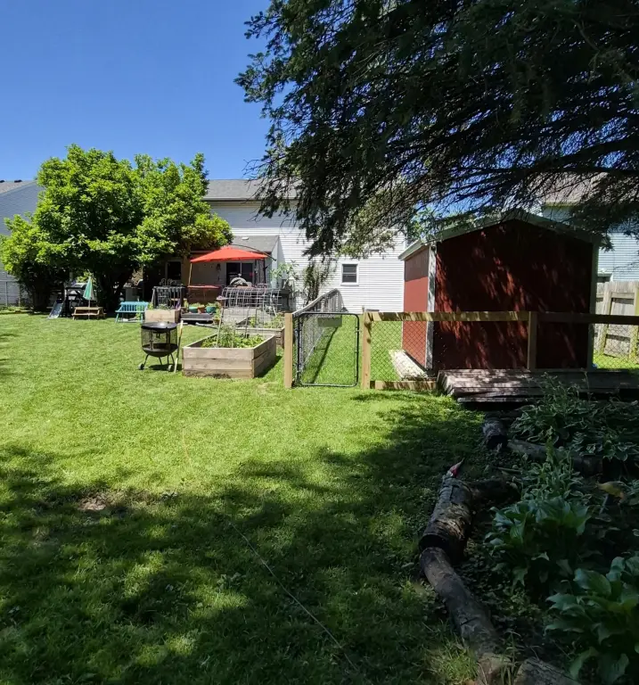 Picture 23