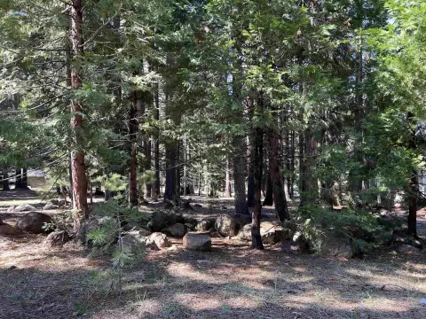 Lake Almanor Land for Sale