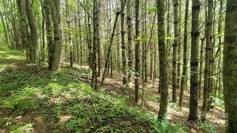 9.9 Acres Creekside Unrestricted Land