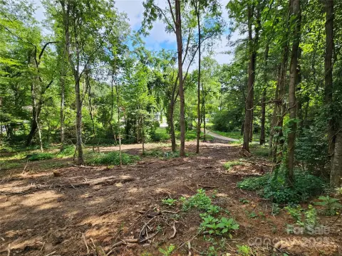 Waynesville Land Near Downtown