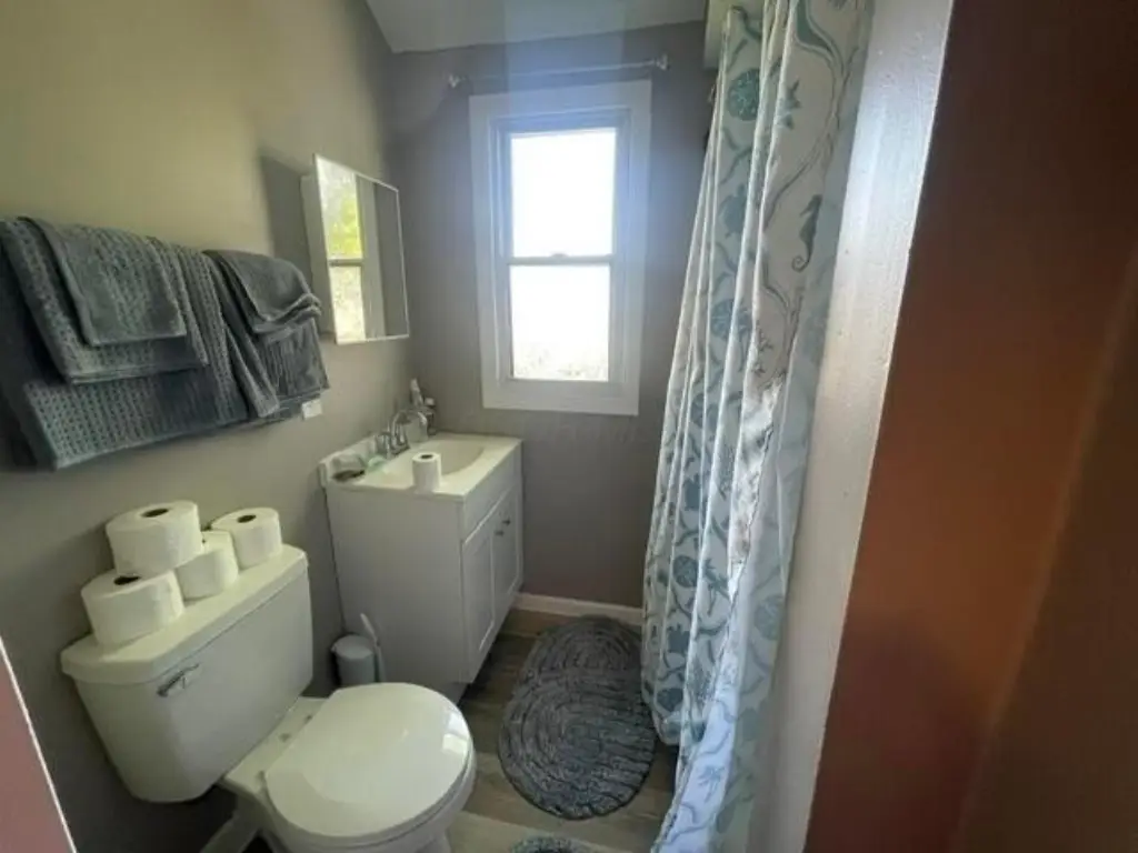 Picture 5